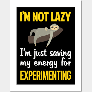 Funny Lazy Experimenting Experiment Experimentator Posters and Art